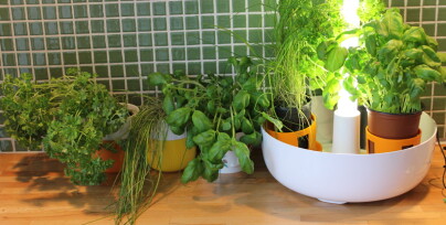 Test: Fiskars KitchenGarden